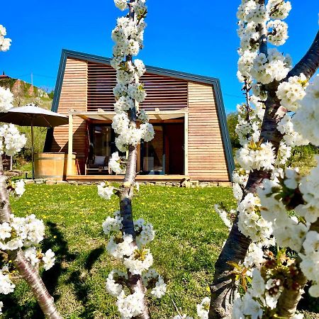 Villa Maxi Sonce, Odprte Vasi Prvacina Esterno foto