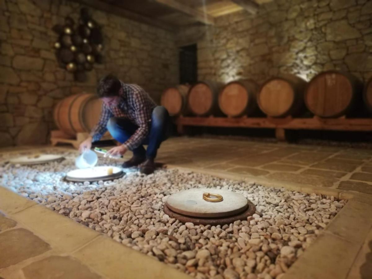 Villa Maxi Sonce, Odprte Vasi Prvacina Esterno foto