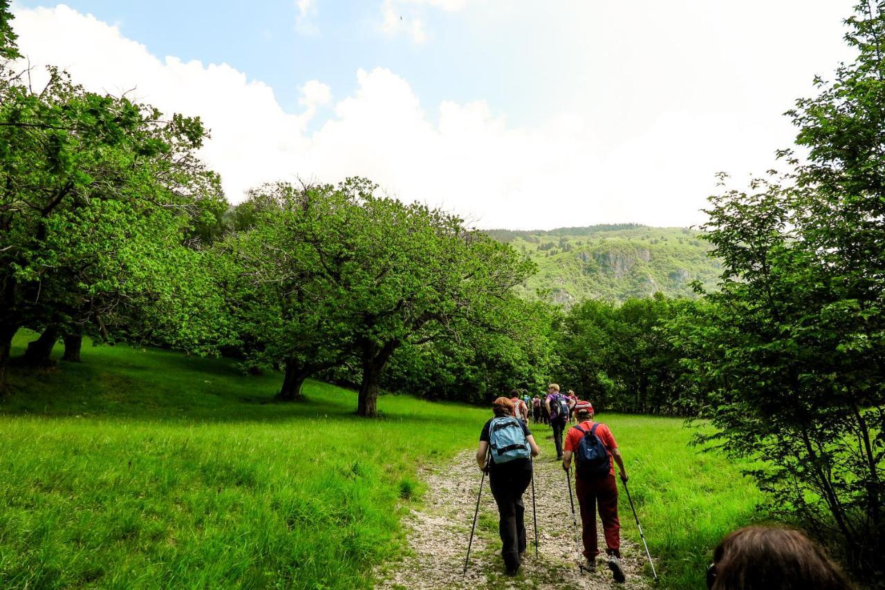 Villa Maxi Sonce, Odprte Vasi Prvacina Esterno foto
