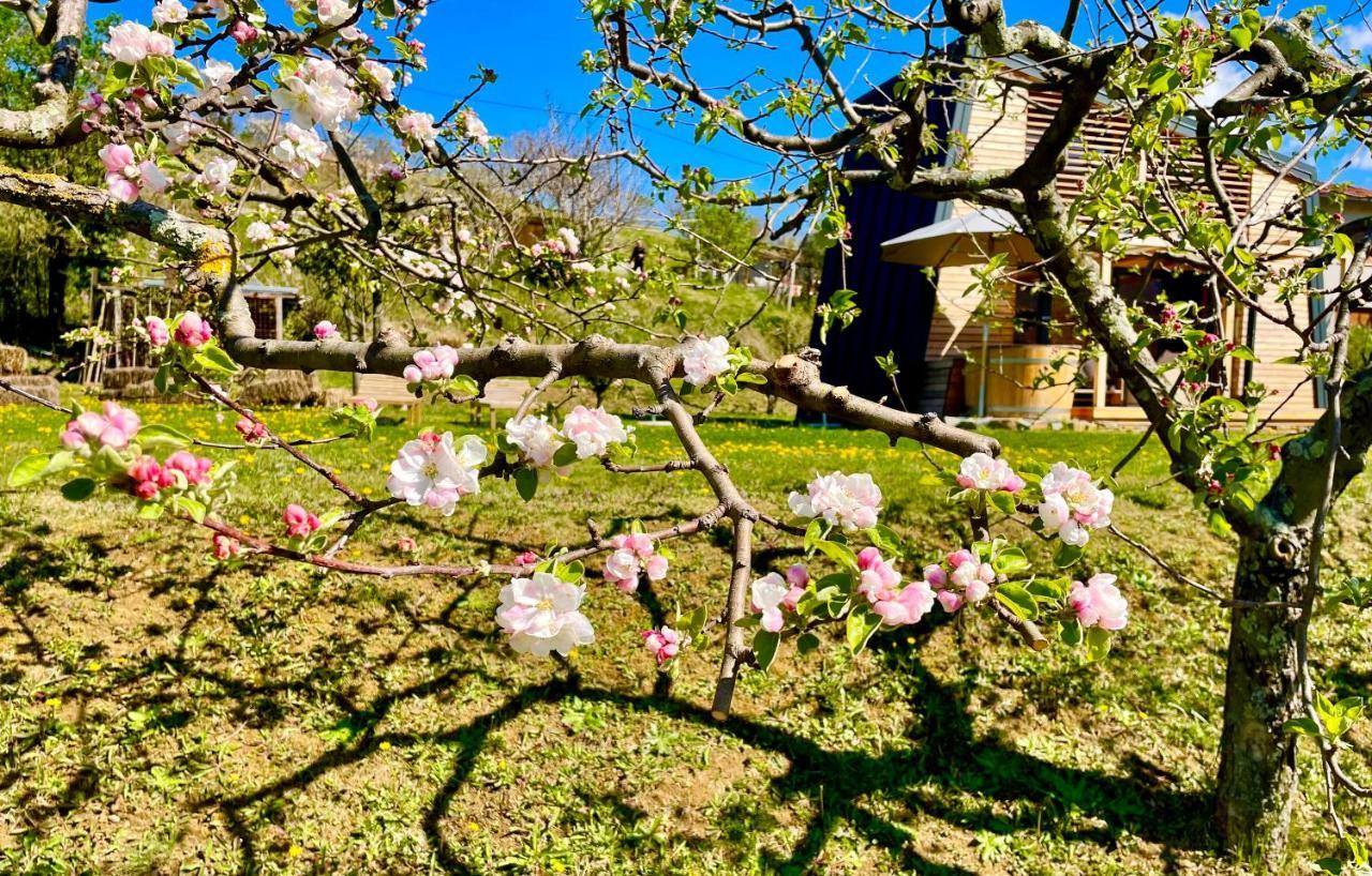 Villa Maxi Sonce, Odprte Vasi Prvacina Esterno foto