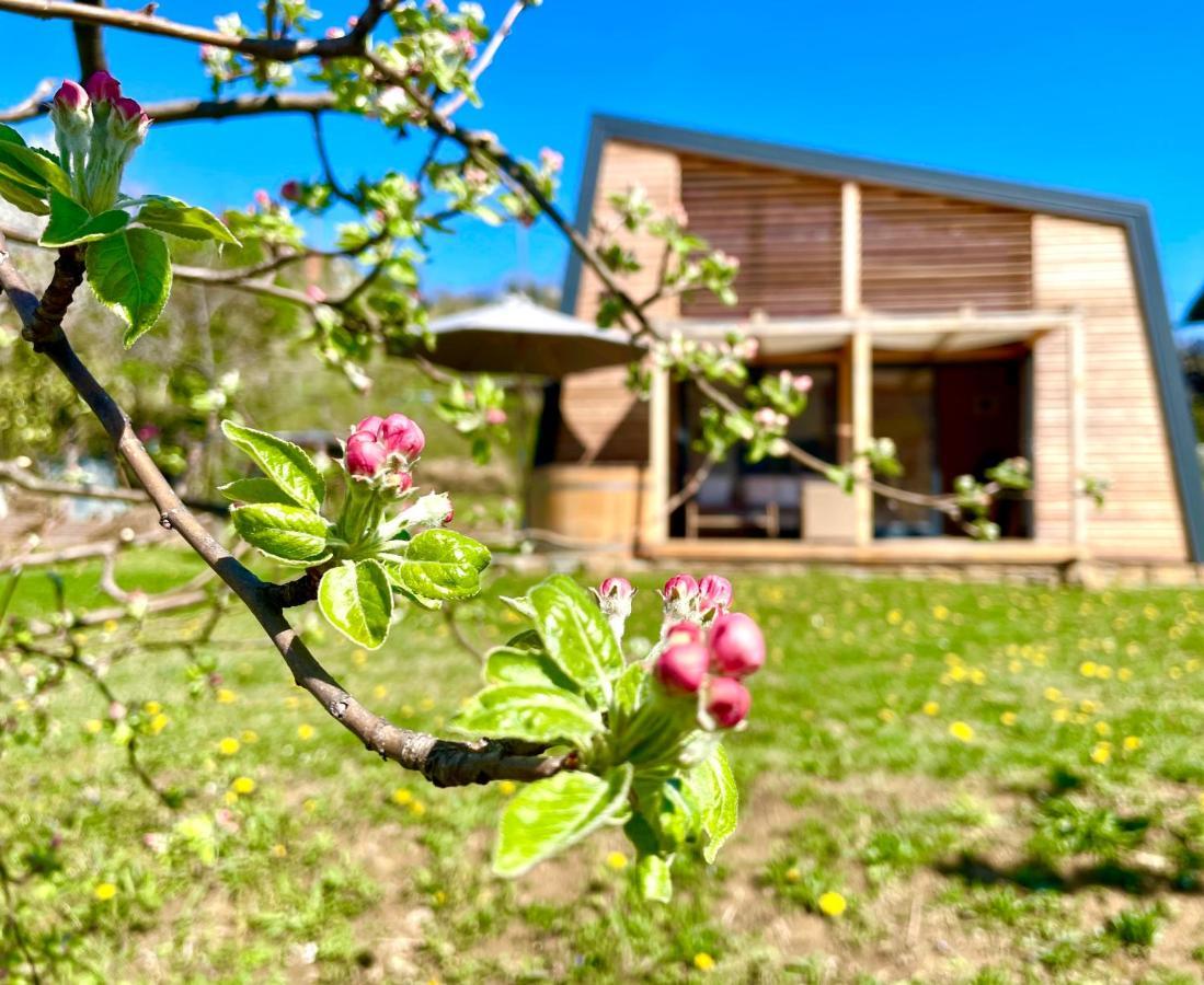 Villa Maxi Sonce, Odprte Vasi Prvacina Esterno foto