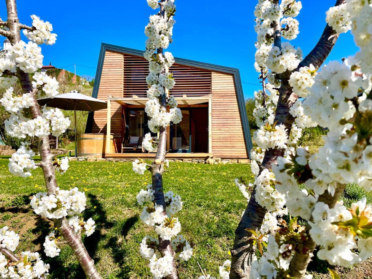 Villa Maxi Sonce, Odprte Vasi Prvacina Esterno foto